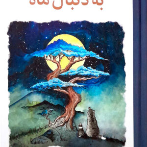 به دنبال ماه
