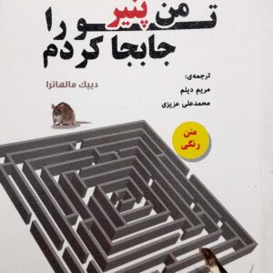 من پنیر تو را جا به جا کردم