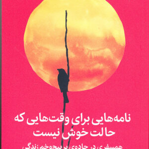 نامه هایی برای وقت هایی که حالت خوش نیست