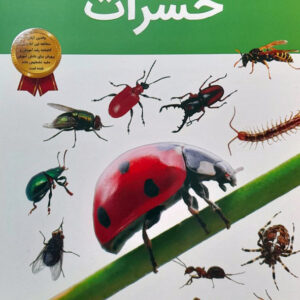 دانستنی های شگفت انگیز از حشرات
