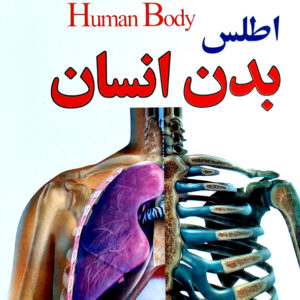 اطلس بدن انسان