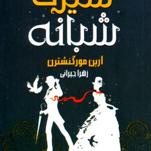 سیرک شبانه