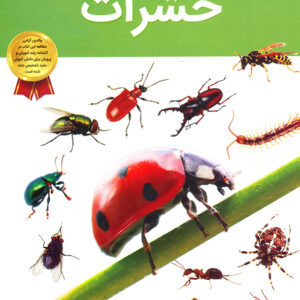 دانستنی های شگفت انگیز از حشرات