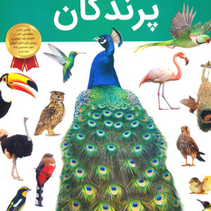 دانستنی های شگفت انگیز از پرندگان