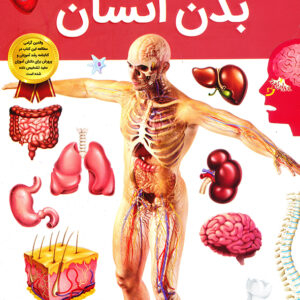 دانستنی های شگفت انگیز از بدن انسان